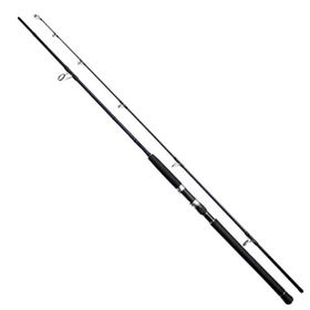 Noeby Gainer NBG1002H 3.05 m 25-110 gr Jig Kamışı