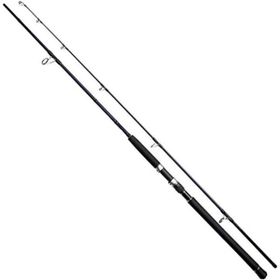 Noeby Gainer NBG1002H 3.05 m 25-110 gr Jig Kamışı