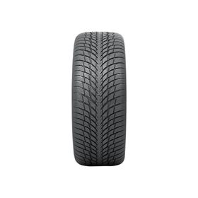 Nokian 225/45 R18 95V XL WR Snowproof P Kış Lastiği