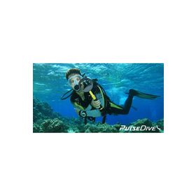 Nokta Makro Pulsedive Scuba İkili Pointer Set