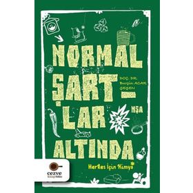 Normal Şartlar Altında - Burçin Acar Şeşen