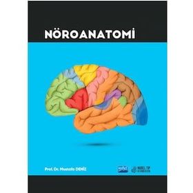Nöroanatomi - Kolektif