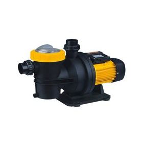 Nortek HCP 100 M Ön Filtreli Havuz Pompası