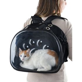 Northern Fashion Siyah File Kedi Taşıma Çantası