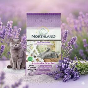 Northland Lavanta Kokulu 20 L Bentonit Kedi Kumu