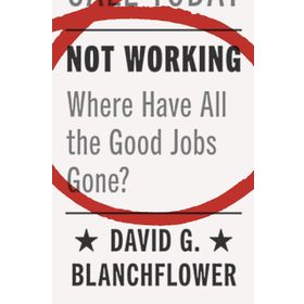 Not Working - Lisa Owens
