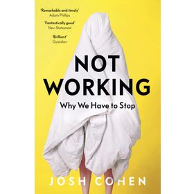 Not Working - Lisa Owens