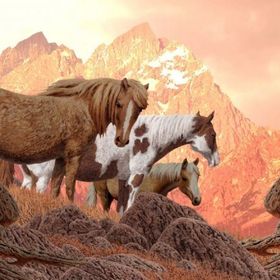 Nova 1000 Parça Vahşi Atlar Puzzle