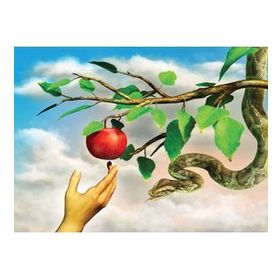 Nova 1000 Parça Yasak Elma Puzzle