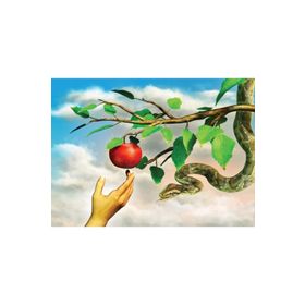 Nova 1000 Parça Yasak Elma Puzzle