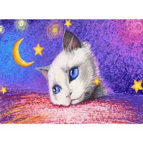 Nova 1000 Parça Yıldızların Altında Beyaz Kedi Puzzle
