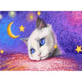 Nova 1000 Parça Yıldızların Altında Beyaz Kedi Puzzle