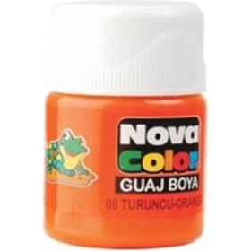 Nova Color 12 Adet NC-110 Turuncu Şişe Guaj Boya