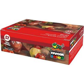 Nova Color NC-461 12'li Guaj Şişe Boya