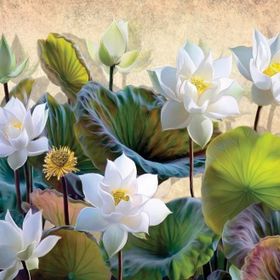 Nova Puzzle 1000 Parça Beyaz Nilüfer Çiçekleri Puzzle