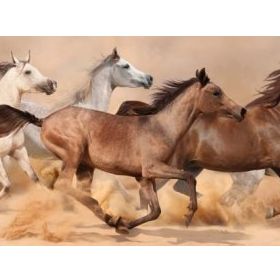 Nova Puzzle 1000 Parça Kum Fırtınasında Koşan Atlar Panorama