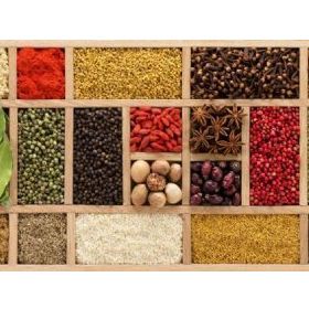 Nova Puzzle 1000 Parça Panorama Baharat Cümbüşü Puzzle