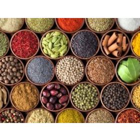 Nova Puzzle 1000 Parça Renkli Baharat Kolajı Panorama Puzzle