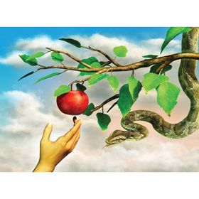 Nova Puzzle 1000 Parça Yasak Elma Puzzle