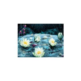 Nova Puzzle 1000 Parça Yıldızlı Gecede Lotus Çiçekleri