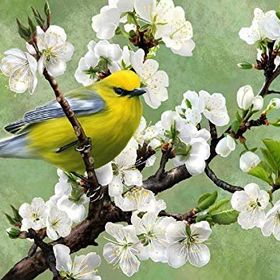 Nova Puzzle Baharın Habercisi 1000 Parça Puzzle