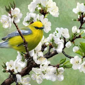 Nova Puzzle Baharın Habercisi 1000 Parça Puzzle