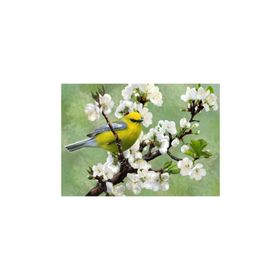 Nova Puzzle Baharın Habercisi 1000 Parça Puzzle