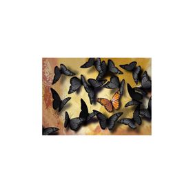 Nova Puzzle Benzersiz Olmak 1000 Parça Puzzle