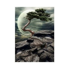 Nova Puzzle Doğanın Mucizesi 1000 Parça Puzzle