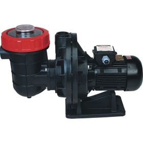 Nozbart 1.5 HP Monofaze İlk Seri Havuz Pompası