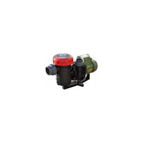 Nozbart Şirin Serisi Monofaze 1/2 HP Havuz Pompası