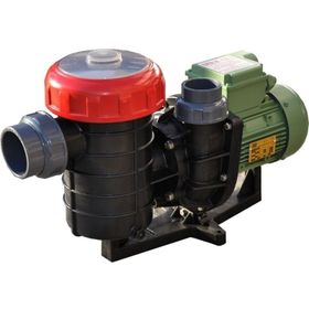 Nozbart Şirin Serisi Monofaze 1/2 HP Havuz Pompası