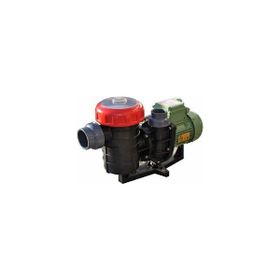 Nozbart Şirin Serisi Monofaze 3/4 HP Havuz Pompası