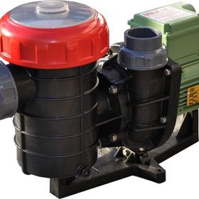 Nozbart Şirin Serisi Monofaze 3/4 HP Havuz Pompası