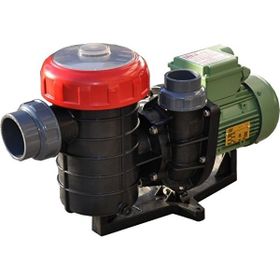 Nozbart Şirin Serisi Monofaze 3/4 HP Havuz Pompası