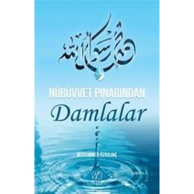 Nübüvvet Pınarından Damlalar - Muhammed Özkılınç
