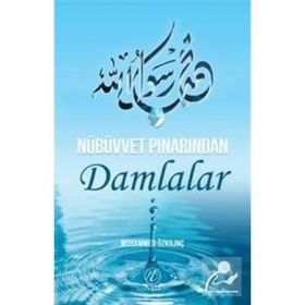 Nübüvvet Pınarından Damlalar - Muhammed Özkılınç