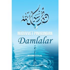 Nübüvvet Pınarından Damlalar - Muhammed Özkılınç