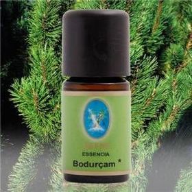 Nuka Defne Bodur Çam Yağı 5 ml Aromatik Cilt Bakım Yağı