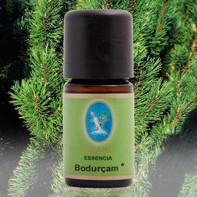 Nuka Defne Bodur Çam Yağı 5 ml Aromatik Cilt Bakım Yağı