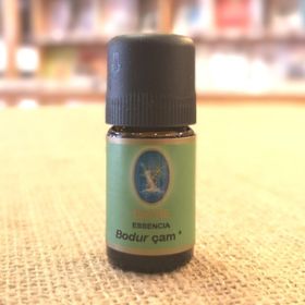 Nuka Defne Bodur Çam Yağı 5 ml Aromatik Cilt Bakım Yağı