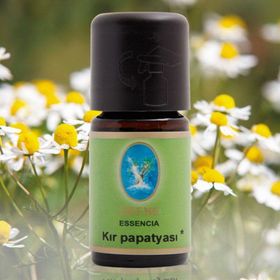 Nuka Kır Papatyası Yağı Organik 5 Ml