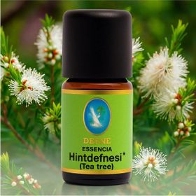 Nuka Tea Tree Organik Uçucu 5 ml Hint Defnesi Yağı