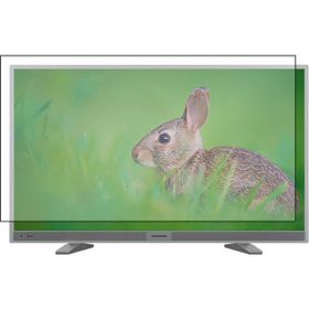Nunamax Grundig G40 LS 5533 Uyumlu Tv Ekran Koruyucu