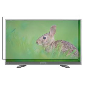 Nunamax Grundig G40 LS 5533 Uyumlu Tv Ekran Koruyucu