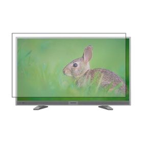 Nunamax Grundig G40LS5533 Nano 2 mm Kırılmaz Tv Ekran Koruyucu