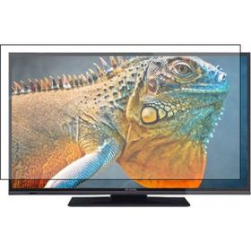 Nunamax Hi Level 49HL500 Uyumlu Tv Ekran Koruyucu