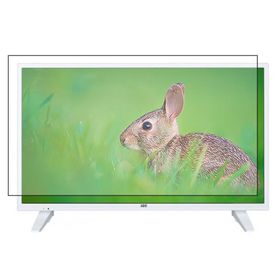 Nunamax Seg 24SEH5520 Uyumlu Tv Ekran Koruyucu