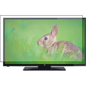 Nunamax Seg 42SE5500 Uyumlu Tv Ekran Koruyucu