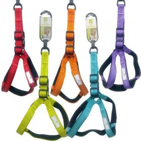 Nunbell 1.5 cm x 120 cm Gezdirmeli Köpek Göğüs Tasması